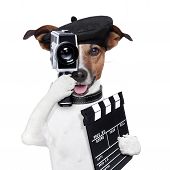 stock photo of dog  - movie director dog with a vintage camera - JPG 