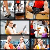 stock photo of fitness  - Portraits of people training in a fitness club - JPG 