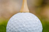 stock photo of golf  - golf tee balancing on top of a golf ball - JPG 