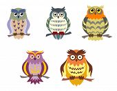 stock photo of outline  - Color cartoon owls set in doodle style for funny design - JPG 