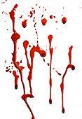 picture of drip  - Dripping blood - JPG 