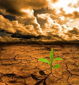 picture of earth  - Dead earth - JPG 