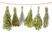 stock photo of health  - Variety of dried herbs hanging on a rope - JPG 