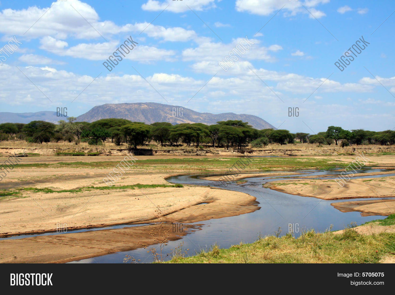Ruaha River African Savanna Image & Photo Bigstock