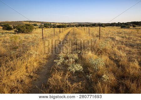 Poster: Rural Path Between Narrillos De