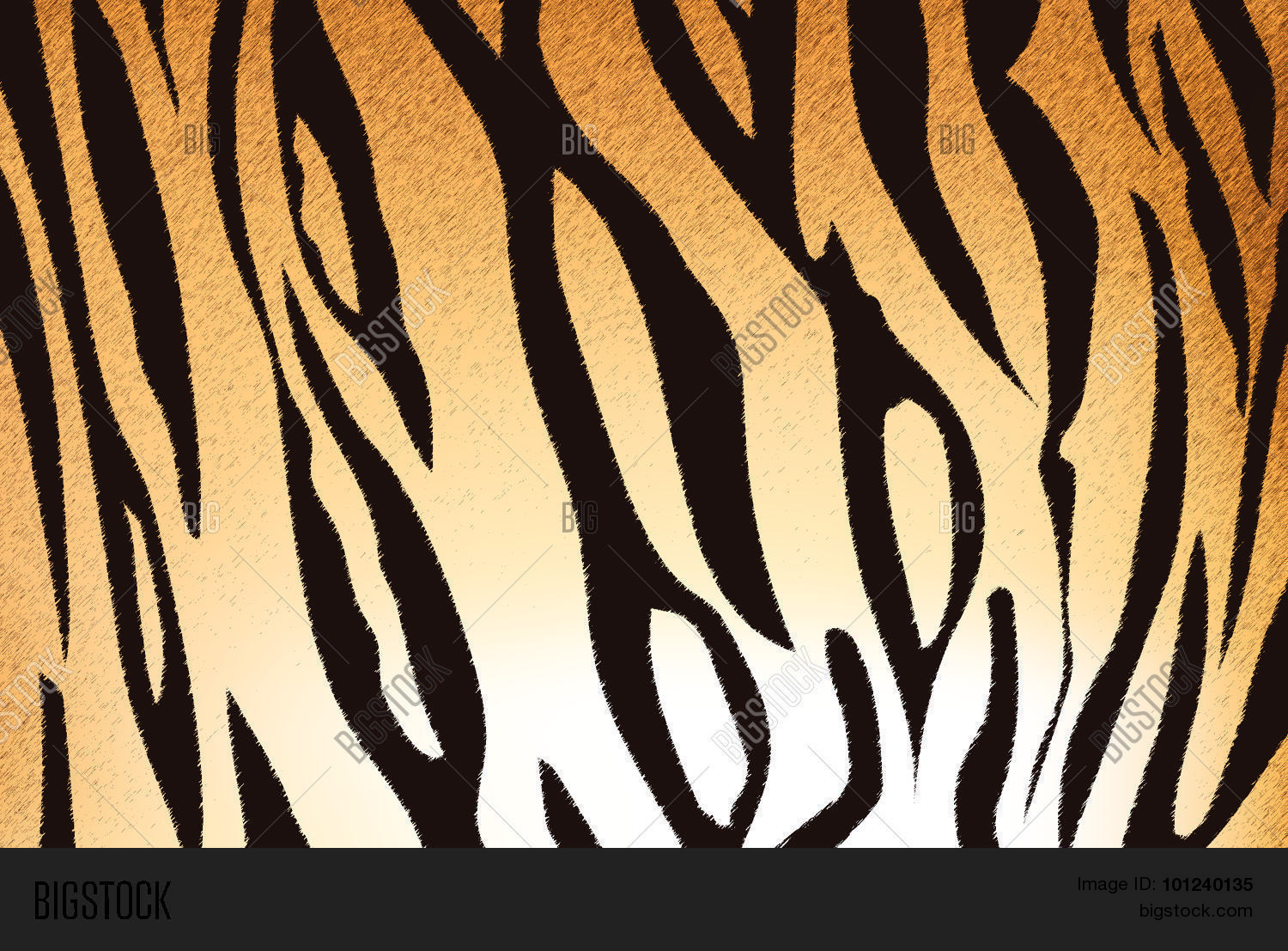 tiger striped pin tiger stripe pattern on tiger striped pin tiger stripe pattern on
