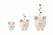 stock photo of investment  - Piggy banks increasing in size - JPG 