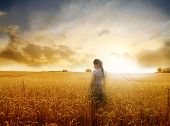 pic of woman  - Young woman standing on a wheat field with sunrise on the background - JPG 