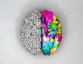 stock photo of mind  - A typical brain with the left side depicting an analytical structured and logical mind and the right side depicting a scattered creative and colorful side on an isolated background - JPG 