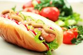 picture of food  - Close up of hot dog - JPG 