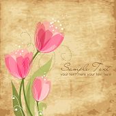 image of mother  - Romantic Flower Background - JPG 