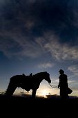 stock photo of horse  - A cowboy holding his horse in the sunset - JPG 
