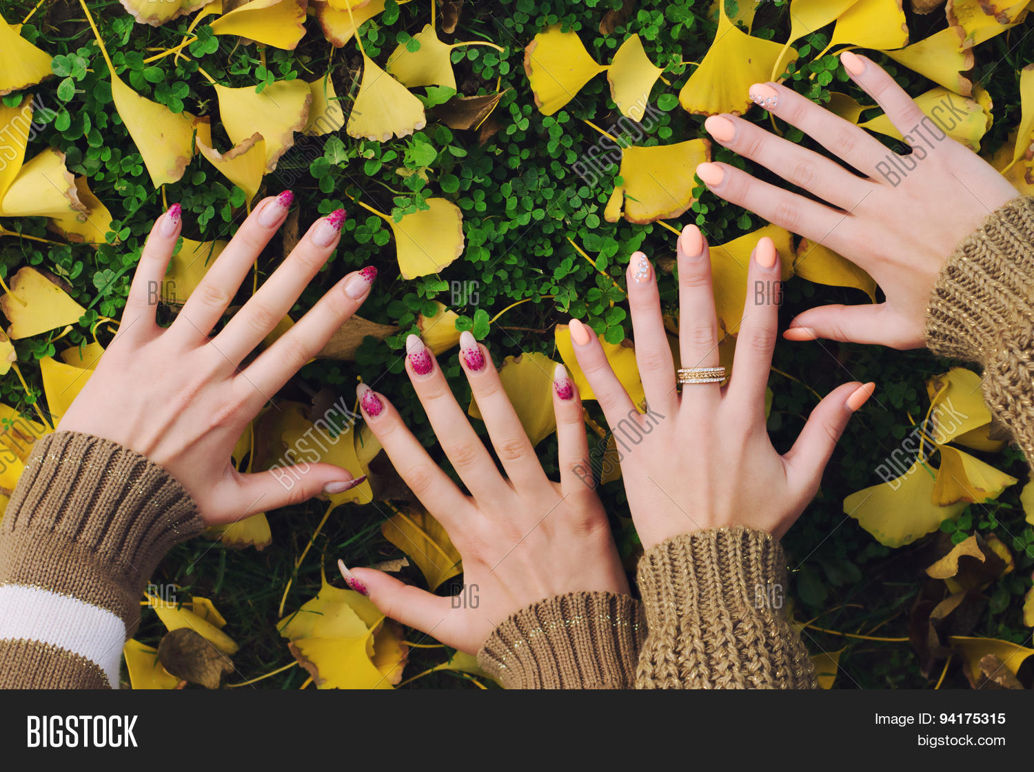 Female Hands Touching Ground On Image & Photo Bigstock