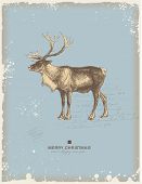 picture of animals  - snowy retro christmas - JPG 