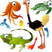 foto of animals  - vector animals - JPG 