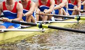 picture of rows  - Mens Eight rowing team at the start of a regatta - JPG 