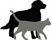 picture of dog  - Vector illustration - JPG 