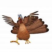picture of toon  - Scared Toon Turkey - JPG 