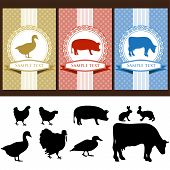 stock photo of animals  - farm animals - JPG 