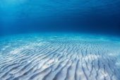 image of tranquil  - Underwater shoot of an infinite sandy sea bottom with clear blue water and waves on its surface - JPG 
