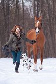 image of horse  - Beautiful young woman with a dalmatian dog and a horse of Don breed - JPG 