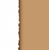 stock photo of edges  - Piece of white paper with torn edge and brown background with shadow - JPG 