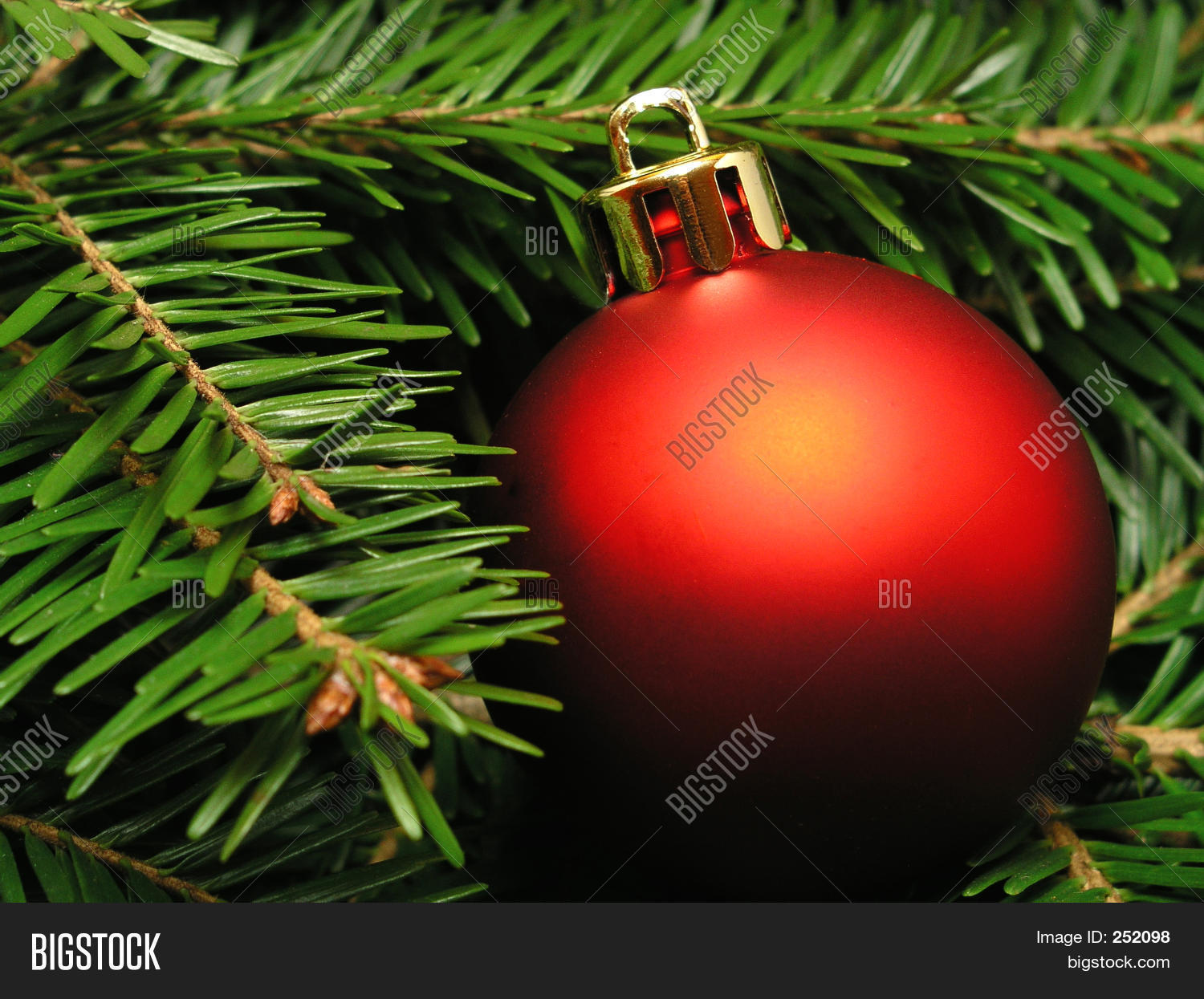Christmas Tree – Close- Image &amp; Photo | Bigstock