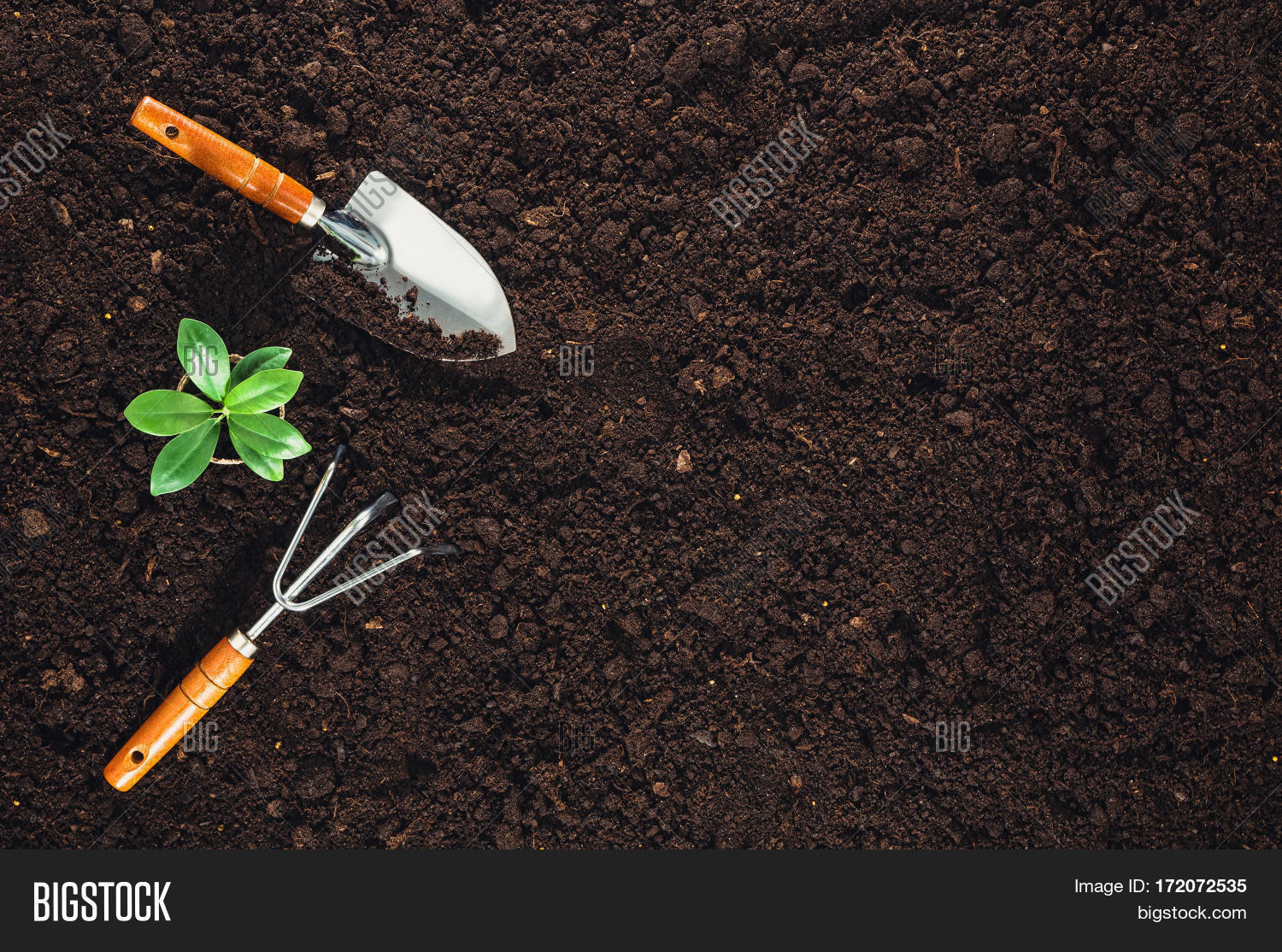 Gardening Tools On Fertile Soil Image & Photo Bigstock
