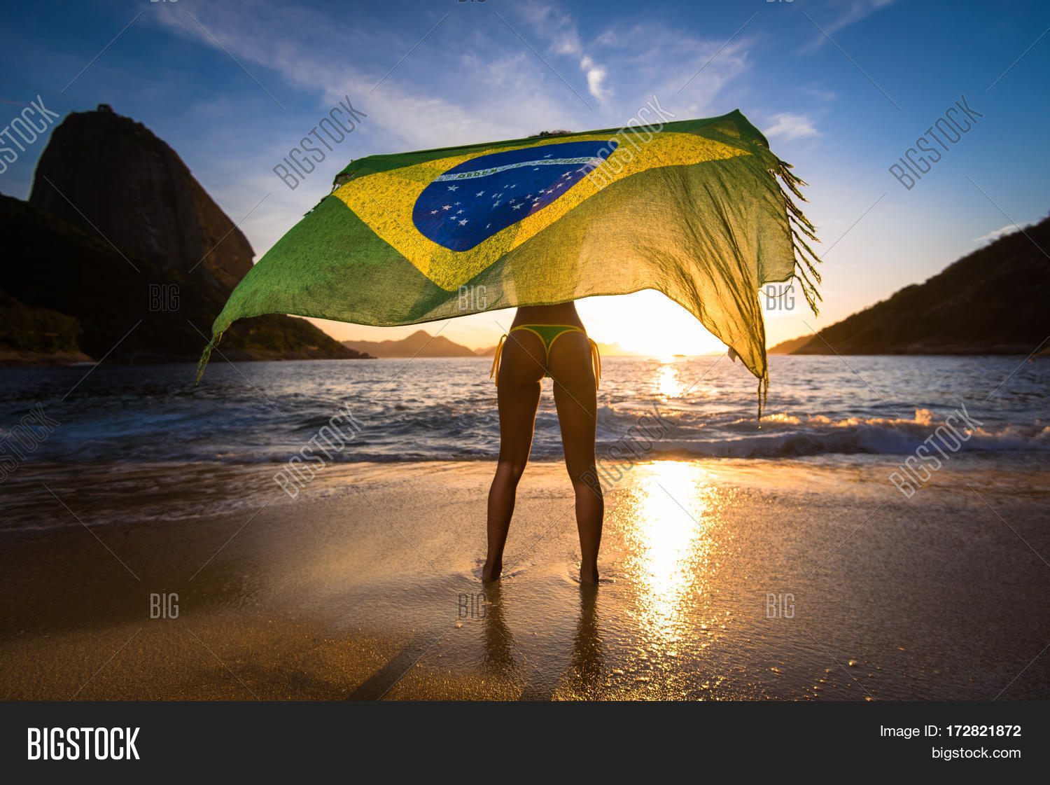 Sexy Girl Bikini Holding Beach Yoke Image & Photo Bigstock