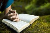 pic of religion  - Young woman reading bible by stream in summer - JPG 