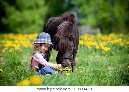 Picture or Photo of Child and small horse in field