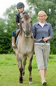 image of horse  - Horse riding  - JPG 