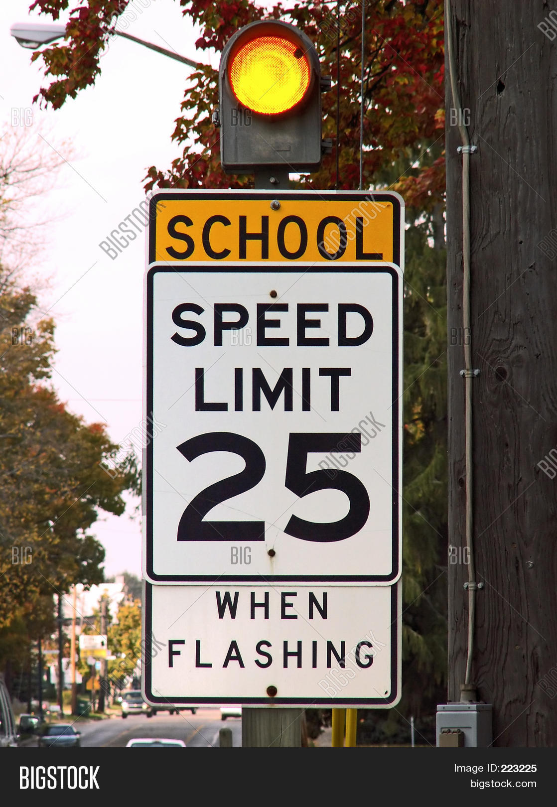School Speed Limit Sign Image Photo Bigstock
