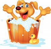 picture of time  - Vector illustration of cute dog bathing time - JPG 