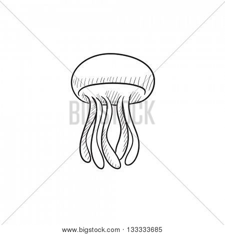 jellyfish vector sketch icon isolated on background hand drawn jellyfish icon jellyfish sketch icon