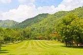 picture of golf  - Golf fairway of a golf course - JPG 