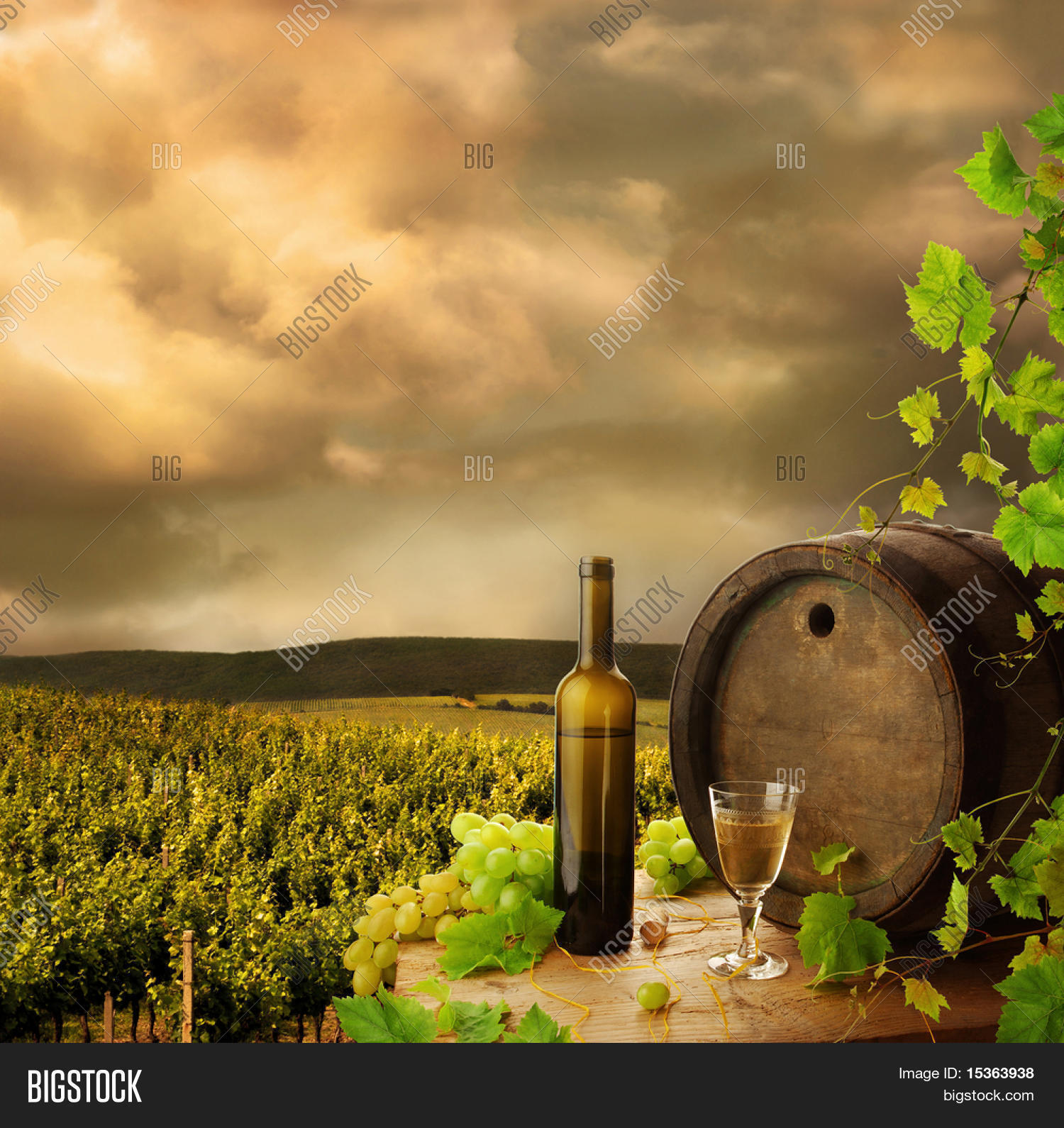 Wine, barrel and vine on background of vineyard Stock Photo & Stock