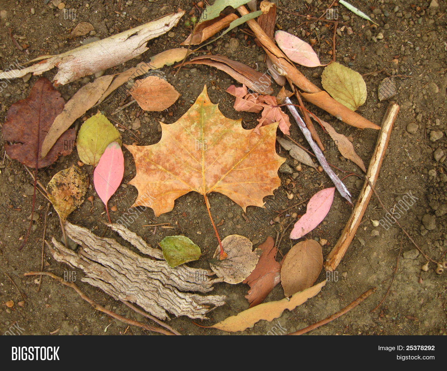 Circle Natural Objects Image & Photo Bigstock