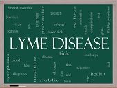 foto of bites  - Lyme Disease Word Cloud Concept on a Blackboard with great terms such as deer tick blood bullseye bite and more - JPG 
