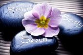 picture of zen  - three massage stones  - JPG 