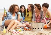 picture of group  - Group Of Girls Enjoying Barbeque On Beach Together - JPG 
