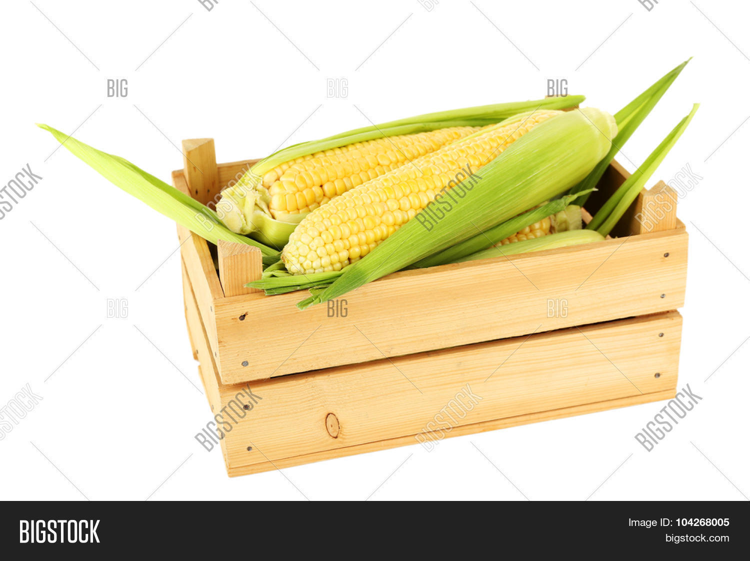 Fresh Corn On Cobs Wooden Crate Image & Photo | Bigstock