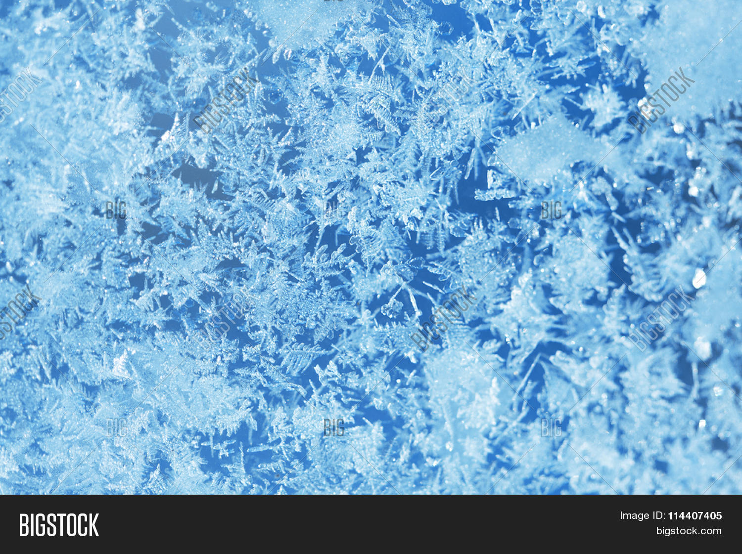 Winter Ice Frost, Frozen Background Image & Photo Bigstock