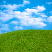 picture of blue sky  - beautiful springtime landscape green grass blue sky nature scenic - JPG 
