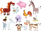 pic of animals  - vector illustration of a new farm animal set - JPG 