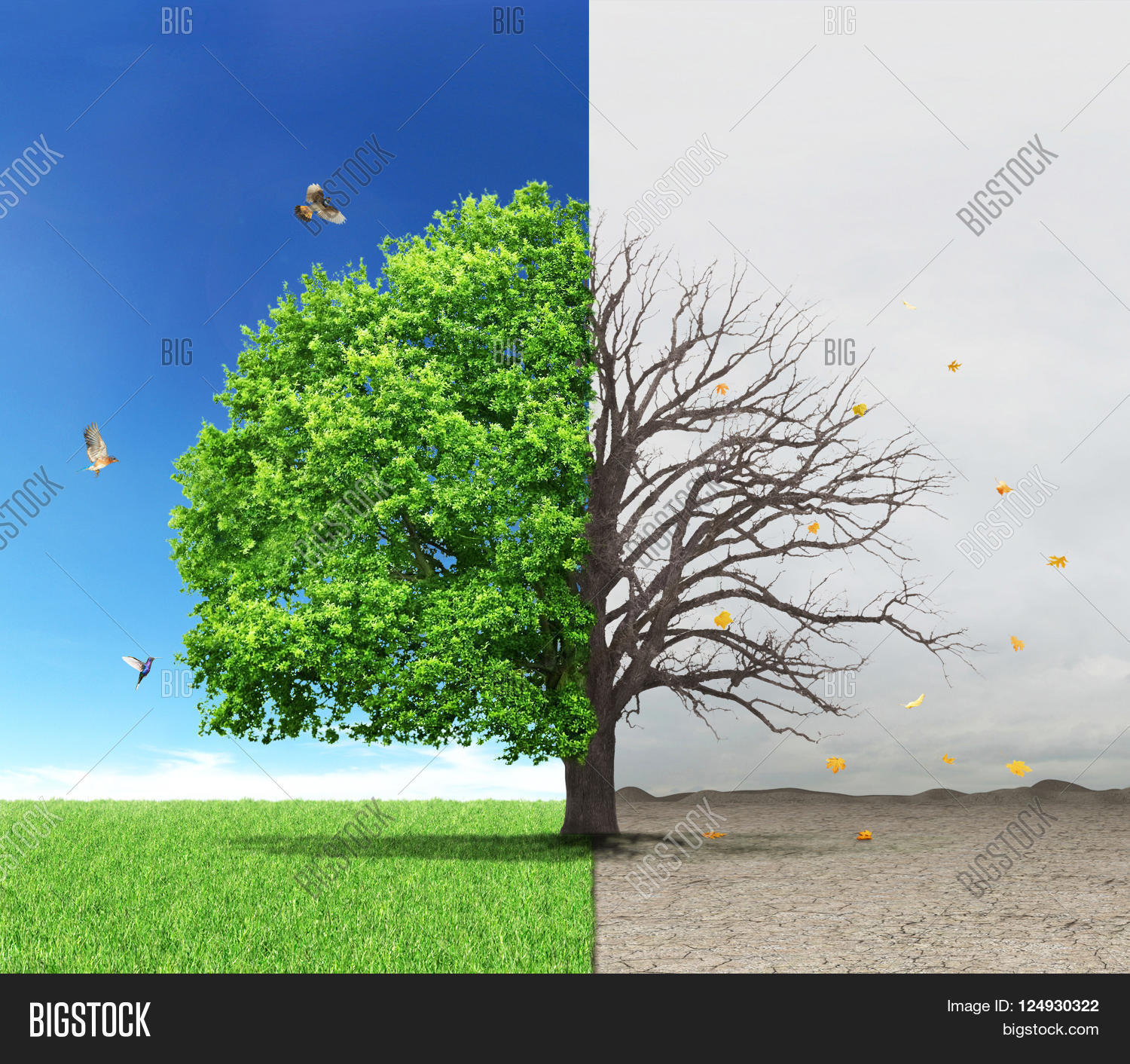 download Software Engineering : The Current Practice