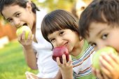 picture of group  - Small group of children eating apples together - JPG 