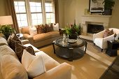 foto of interior  - Living room with luxury furniture and decor - JPG 