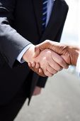 picture of handshake  - Business handshake - JPG 