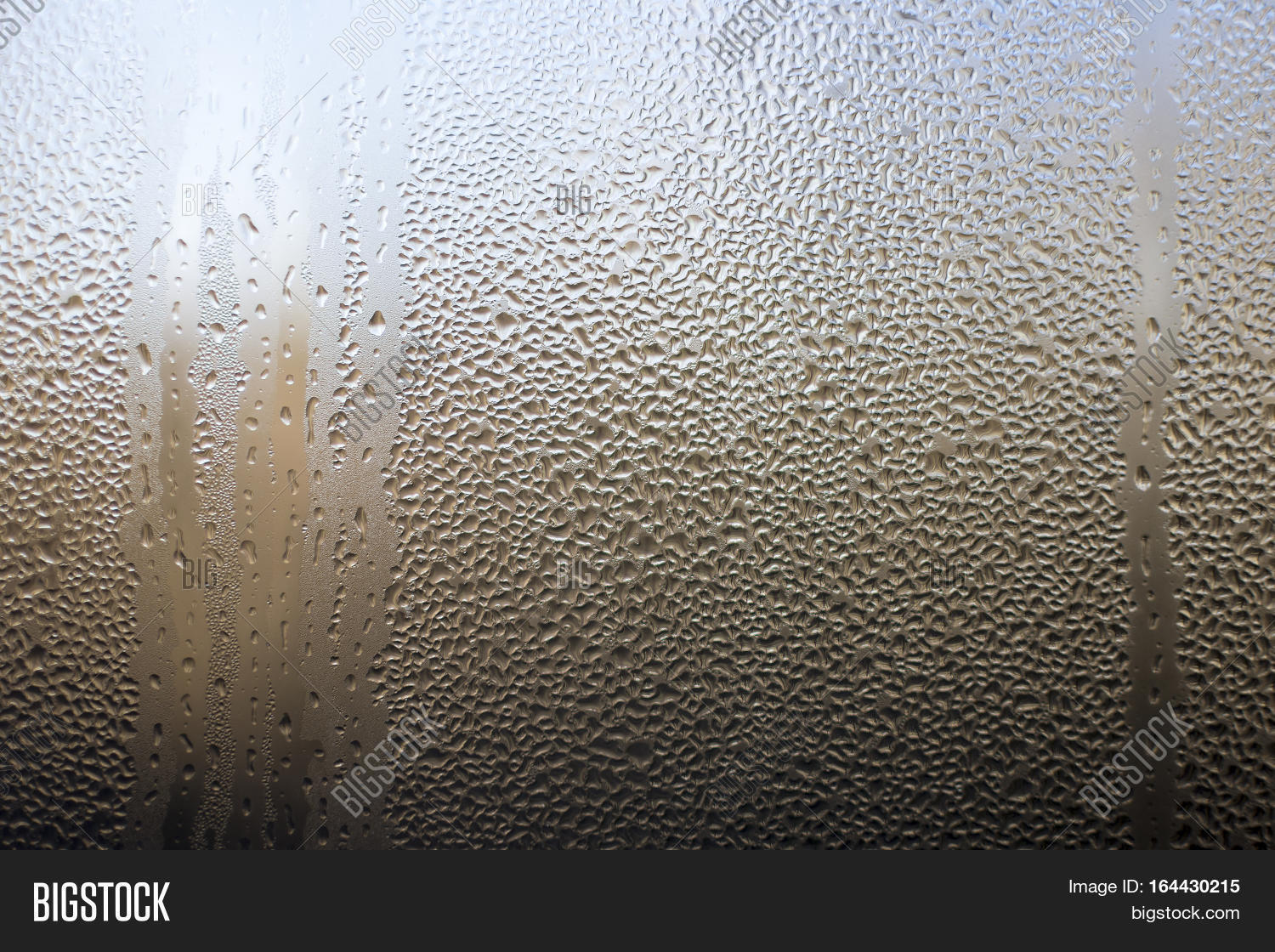 skin human texture water drops image photo bigstock condensation water drops on window texture background dew drop on window glass stock photo skin human texture water drops image photo bigstock condensation water drops on window texture background dew drop on window glass stock photo